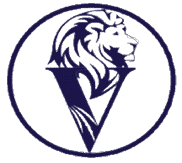 VL Lyon Group – Consultoría Estratégica Empresarial